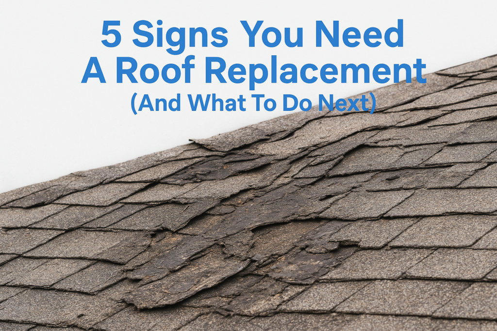 5 Signs You Need A Roof Replacement (And What To Do Next)